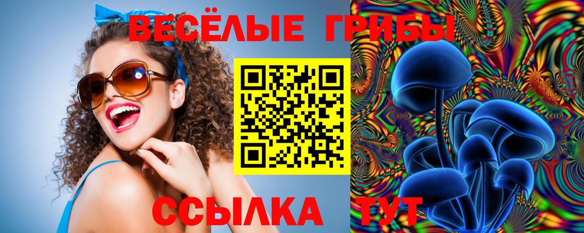 Галлюциногенные грибы прущие грибы  Вход с VPN  Ухта 